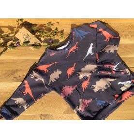Bluza dziecięca kolorowe dinozaury z kieszenią